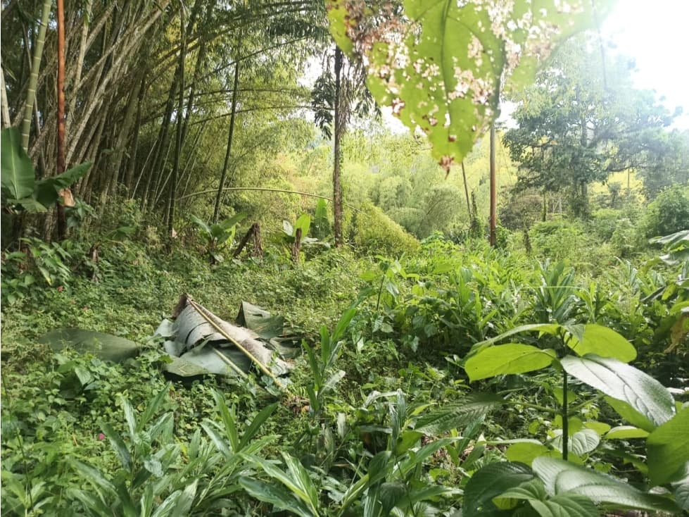 Se Vende Lote En Salento Quindío — foto 4