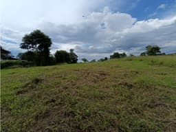 Se Vende Lote En El Caimo - Quindío