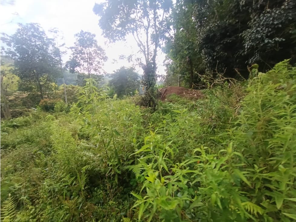 Se Vende Lote En Salento Quindío — foto 6