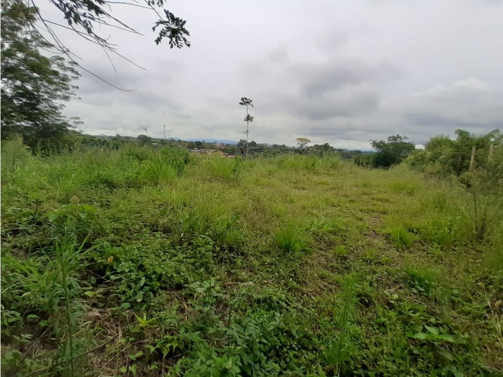 LOTE EN CONDOMINIO VIA MORELIA — foto 5