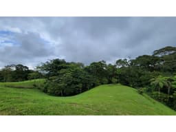 Lote en venta en Pereira Vía a Armenia