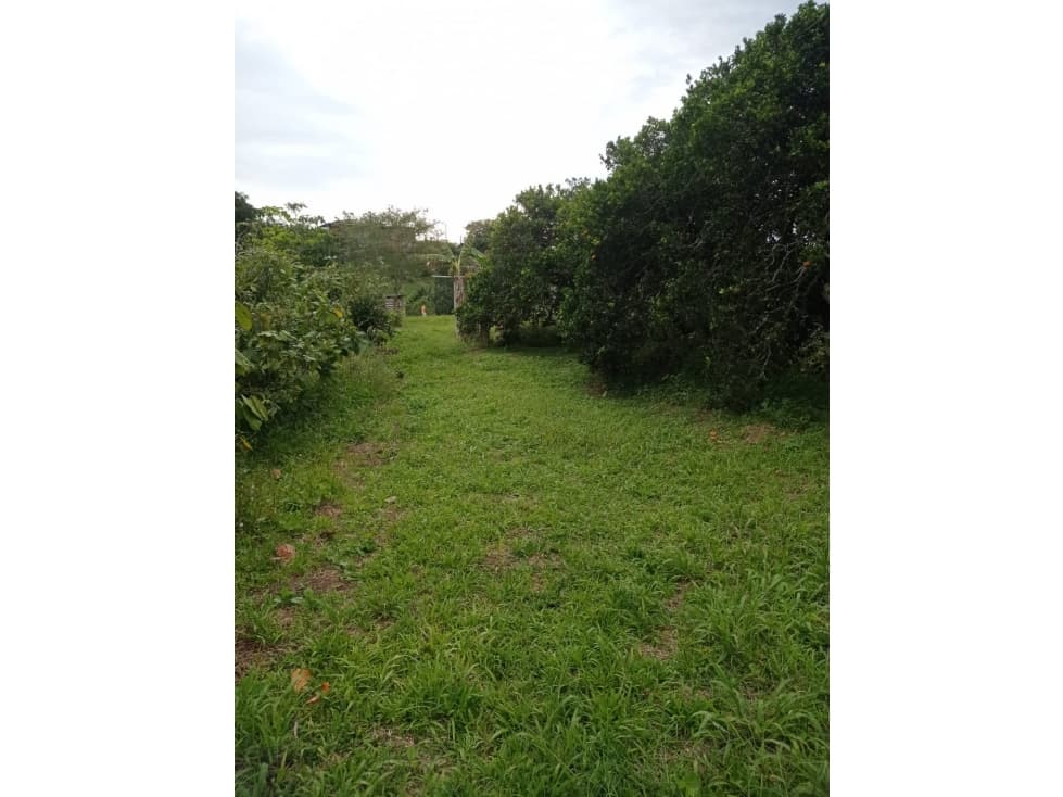 EN VENTA MAGNIFICO LOTE EN COMBIA — foto 2
