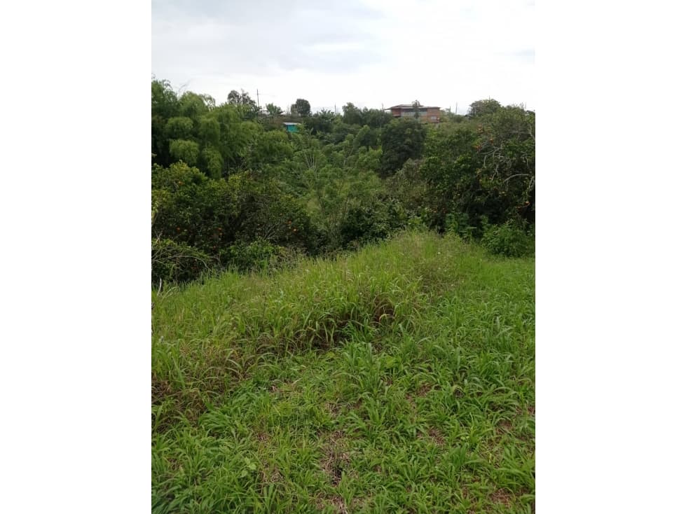 EN VENTA MAGNIFICO LOTE EN COMBIA — foto 3