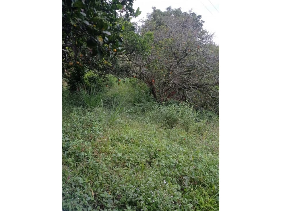 EN VENTA MAGNIFICO LOTE EN COMBIA — foto 4