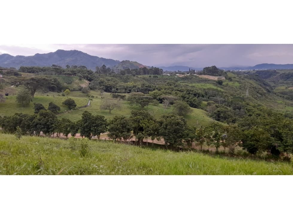 Se venden lotes en Combia 4000m — foto 4