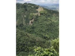 VENTA LOTE EN BAJO TABLAZO, MANIZALES | LOTES EN VENTA
