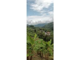 VENTA LOTE EN ALTO BONITO, MANIZALES | LOTES EN VENTA EN MANIZALES