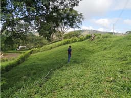 VENTA DE LOTE EN EL KM 41, MANIZALES | LOTES EN VENTA