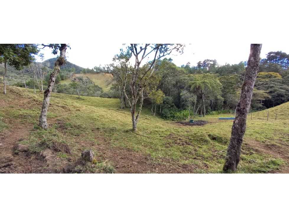 FINCA PARA PARCELACION EN EL RETIRO — foto 4