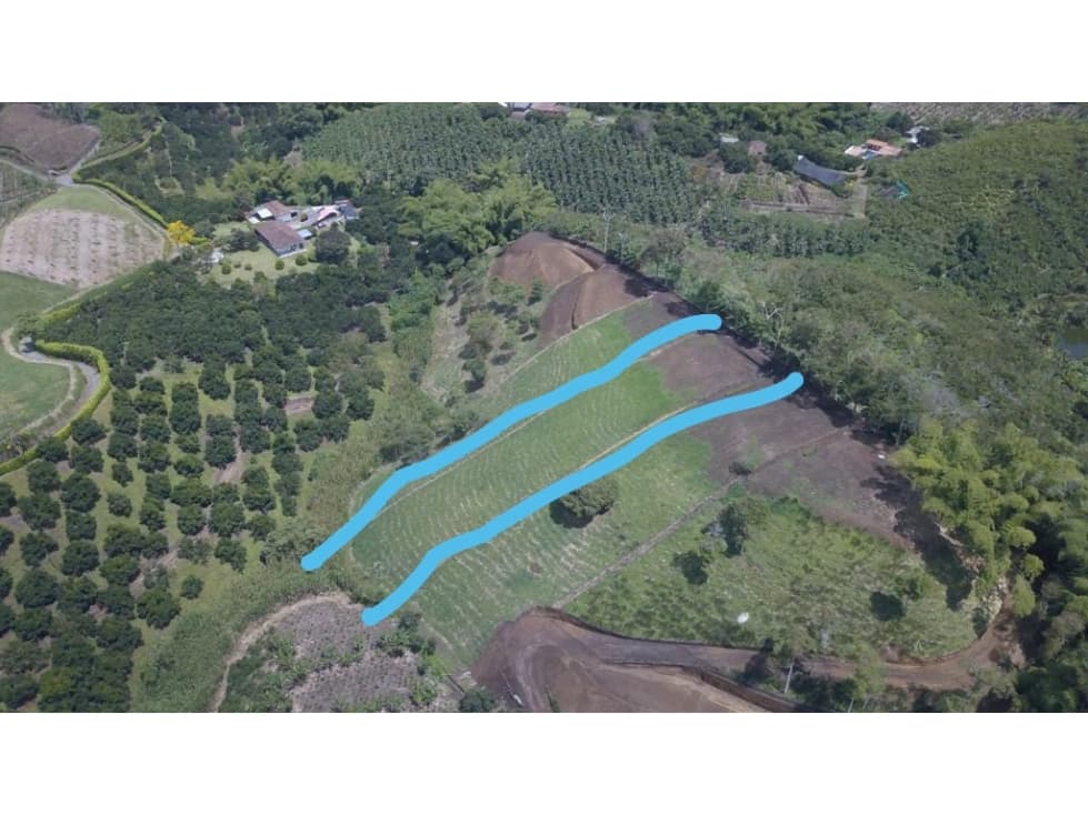 Lote en venta - Palestina - Manizales — foto 3