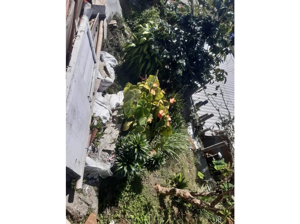 Lote en venta - Malhabar - Manizales — foto 4