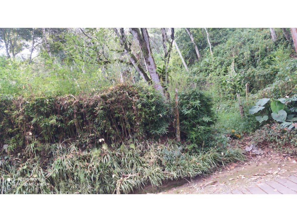 Venta Lote El Retiro Antioquia — foto 2