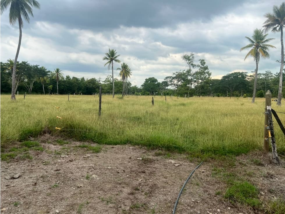 LOTE EN VENTA EN AGUAS NEGRAS - MONTERIA — foto 2