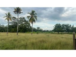 LOTE DE 3000M2 EN AGUAS NEGRAS EN VENTA - MONTERIA