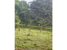 LOTE DE 3000 M2 EN VENTA EN SANTA LUCIA 135