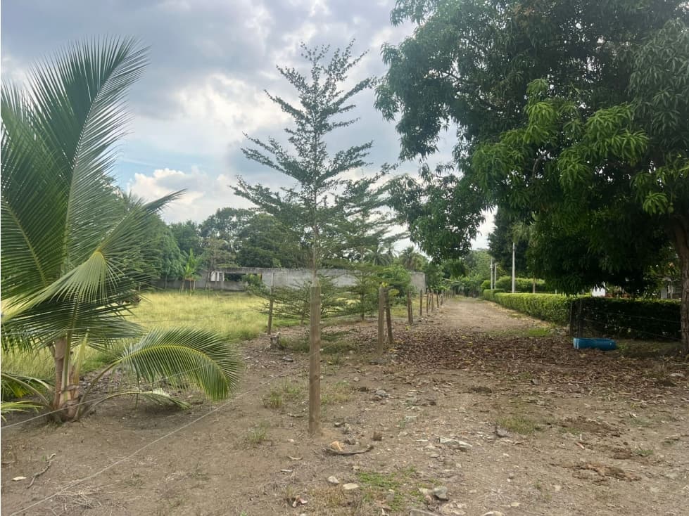 LOTE EN VENTA EN AGUAS NEGRAS - MONTERIA — foto 5