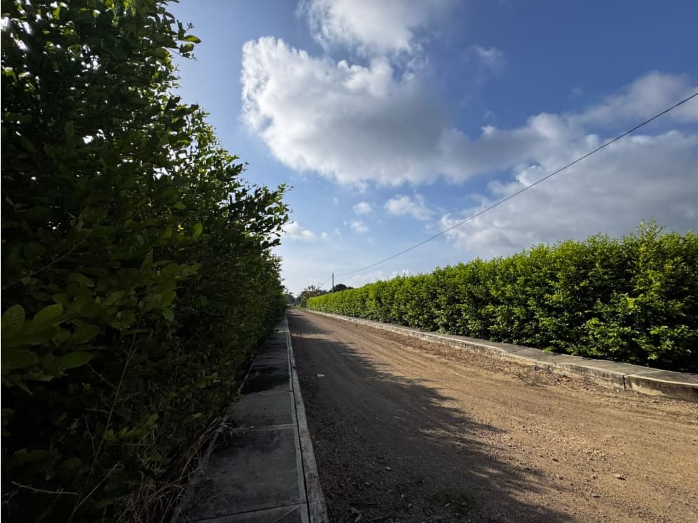 PROYECTO DE LOTES CAMPESTRES EN MONTERIA — foto 4