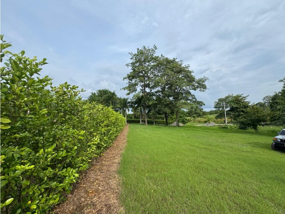 LOTE CAMPESTRE EN MONTERIA - VIA PLANETA — foto 3