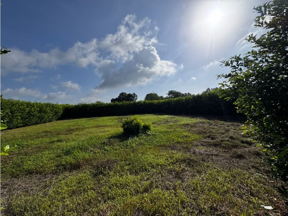 PROYECTO DE LOTES CAMPESTRES EN MONTERIA — foto 3