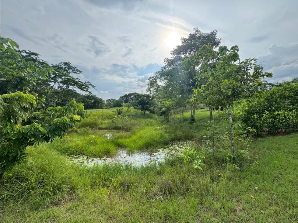 LOTE CAMPESTRE EN MONTERIA - VIA PLANETA — foto 4