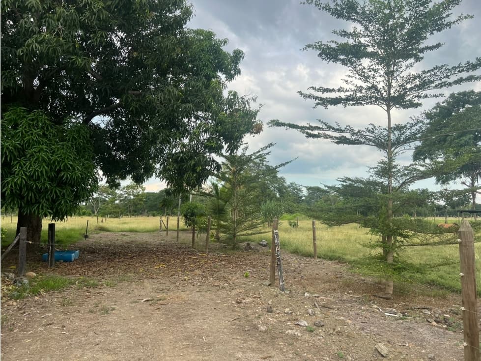 EN VENTA LOTE EN AGUAS NEGRAS - MONTERIA — foto 6