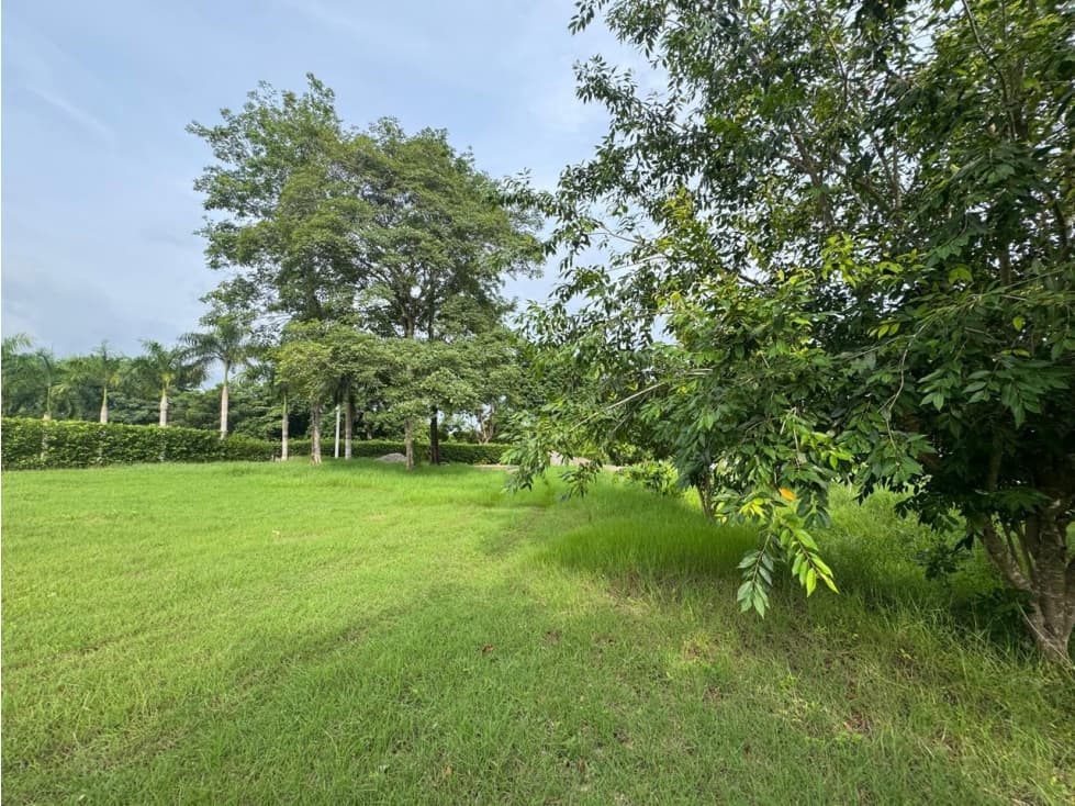LOTE CAMPESTRE EN MONTERIA - VIA PLANETA — foto 6