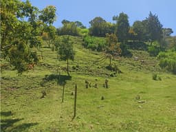 Venta Finca Productiva con Potencial de Desarrollo Guarne, Antioquia