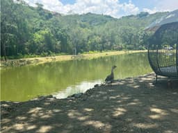 Venta Lotes Parcelación Exclusiva Vía Antigua San Jerónimo a Sopetran