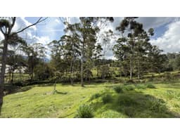 Lote Fizebad