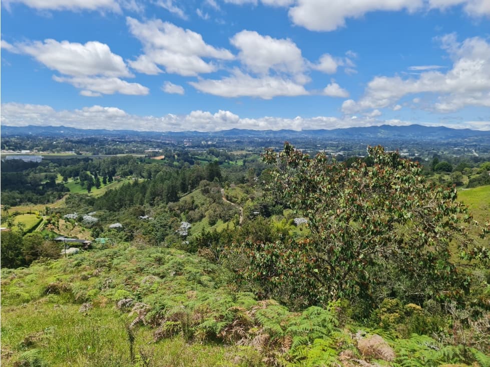 VENTA DE LOTES en Parcelación de LLANOGRANDE — foto 6
