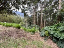 Venta Lote en las Palmas