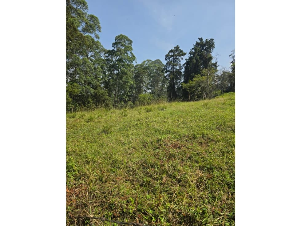 Hermoso lote campestre San Lucas, Envigado. — foto 2