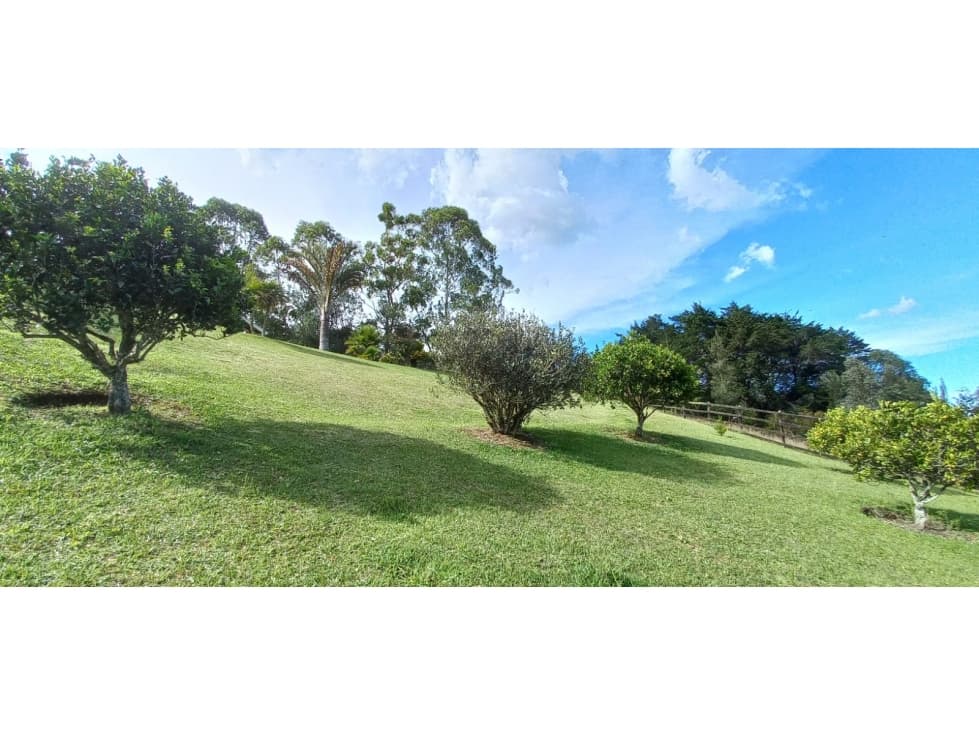 VENTA DE CASA FINCA EN LLANOGRANDE SECTOR CABECERAS — foto 5