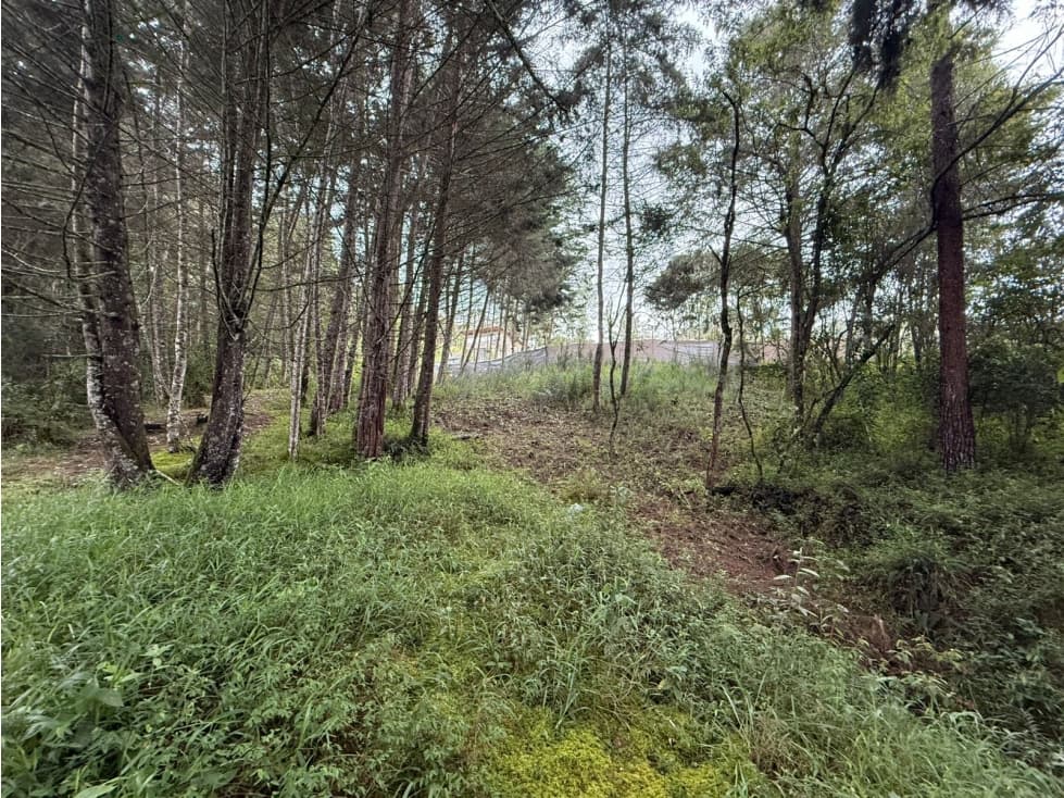 Lote en Venta, El Retiro — foto 4