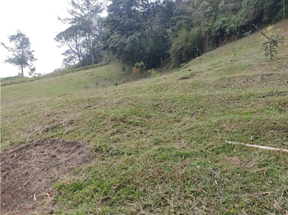 Venta de lote Vereda Cabeceras, Llanogrande, Rionegro — foto 3