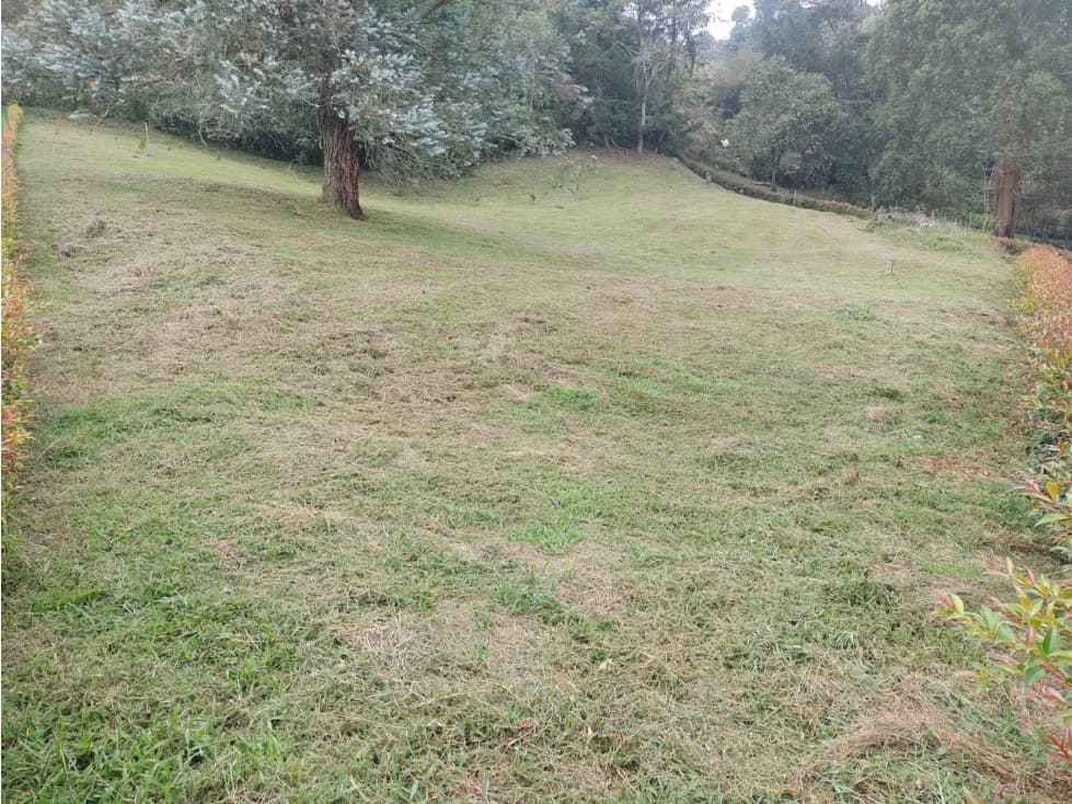 Venta de lote Vereda Cabeceras, Llanogrande, Rionegro — foto 5