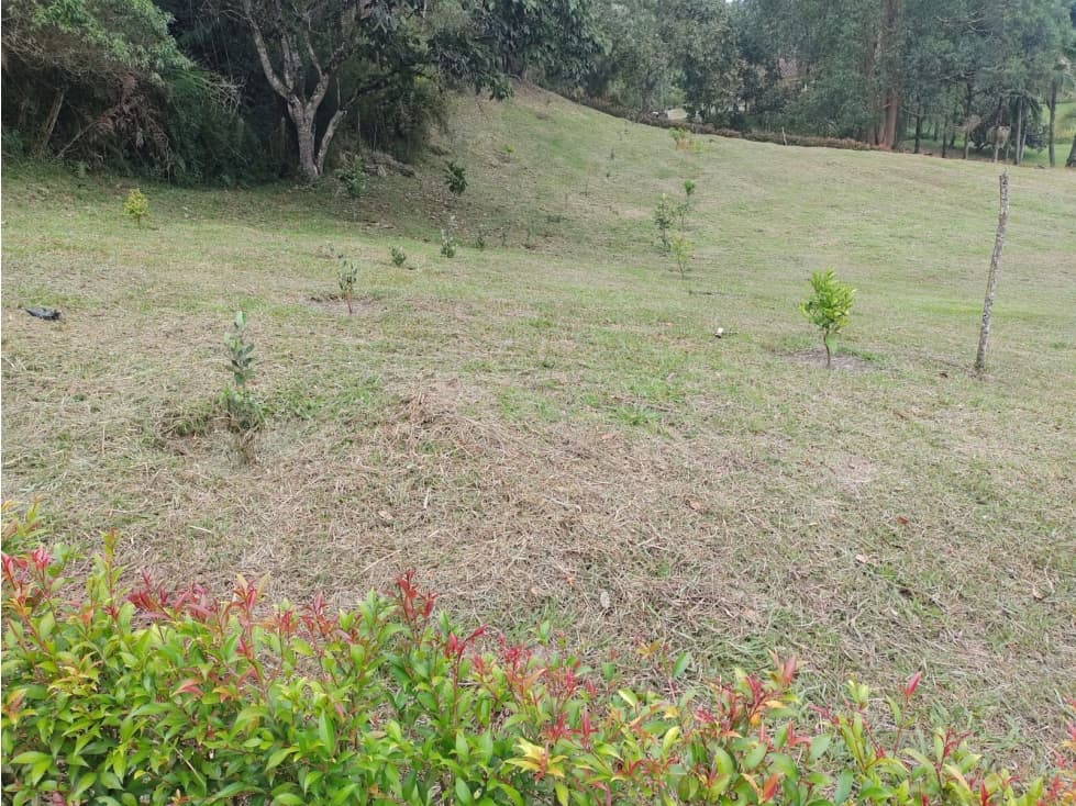 Venta de lote Vereda Cabeceras, Llanogrande, Rionegro — foto 6