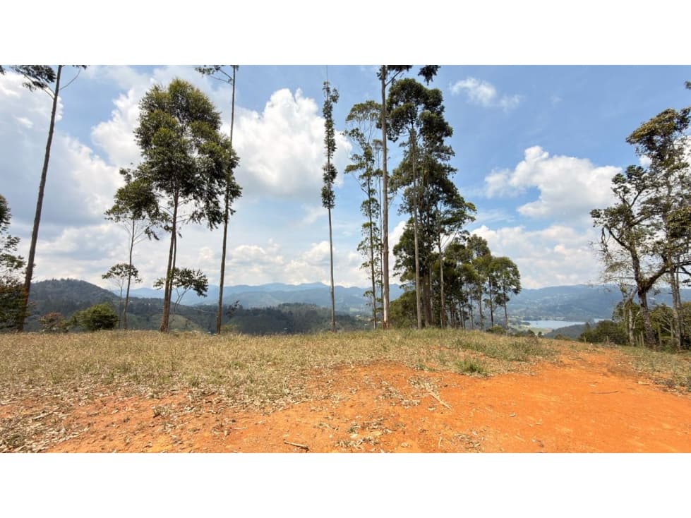 Lote Horizontes — foto 5