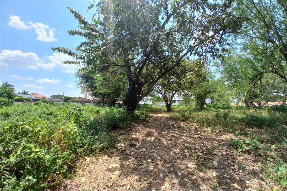 VENTA LOTE. CUNDINAMARCA-RICAURTE 3.509m2 — foto 1