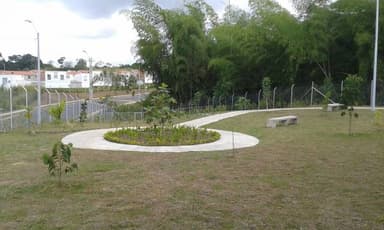 Miniatura 9