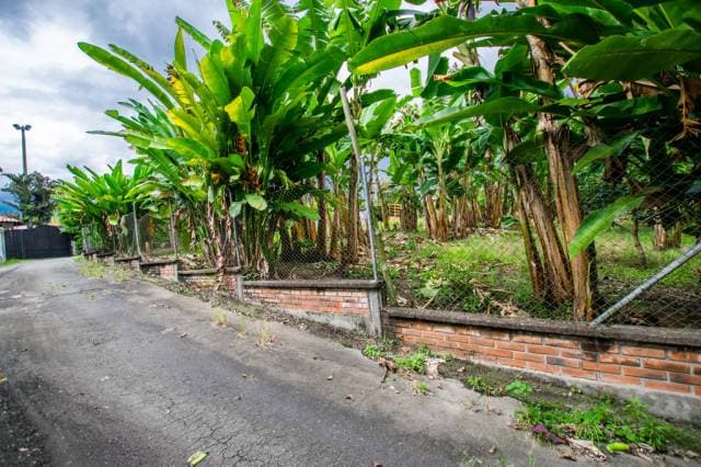 Lote de 1.500 Mts2 en Venta en Armenia — foto 3