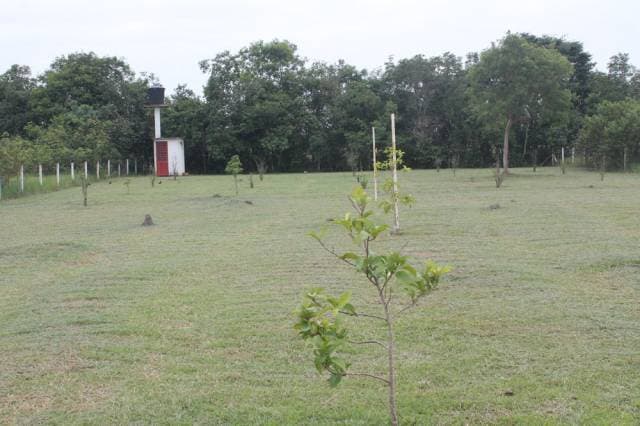 VENTA DE CASA CAMPESTRE EN PUERTO LOPEZ-META — foto 11