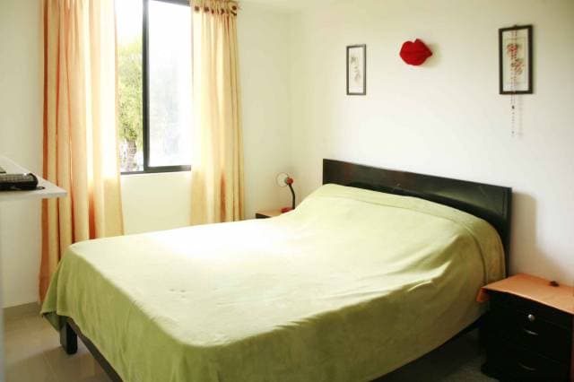 Apartamento amplio e iluminado — foto 5