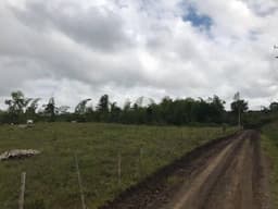 SE VENDE LOTE MUY LINDO A LAS AFUERAS DE PEREIRA JUNTO AL CLUB CAMPESTRE
