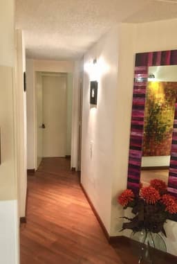 Apartamento Remodelado 290.000.000