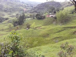 Venta de Finca en el Oriente Antioqueño via pavimentada y llega carro hasta la casa
