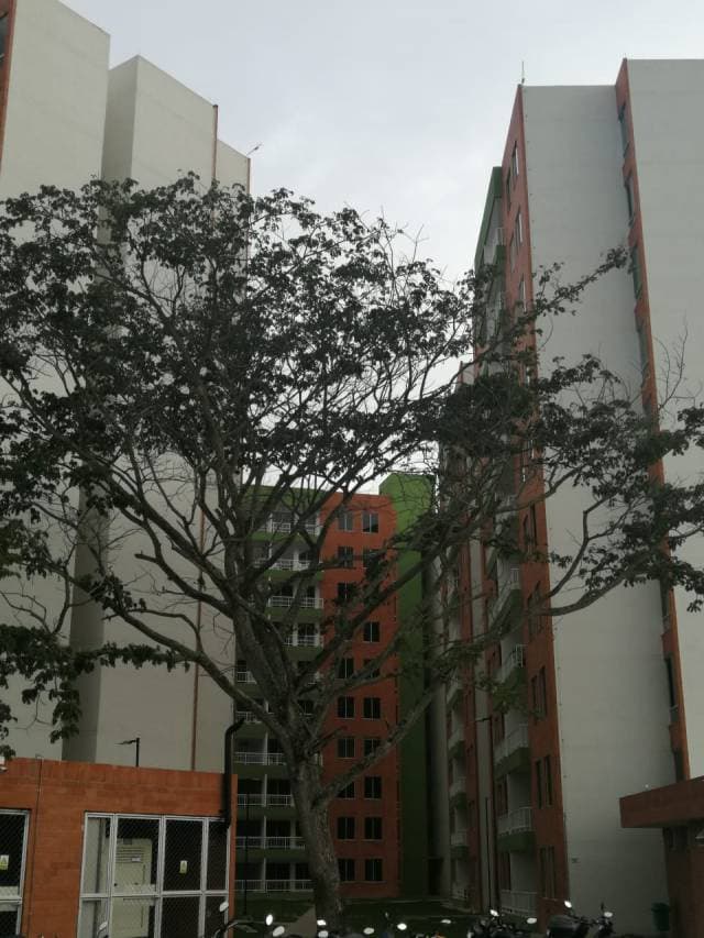 Apartamento en Conjunto Pradera sector Bochalema, estrenar — foto 8
