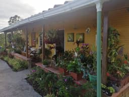 Vendo finca en Marinilla vereda San Bosco