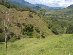 Venta de Finca en el municipio de San Carlos, a 9KM del pueblo