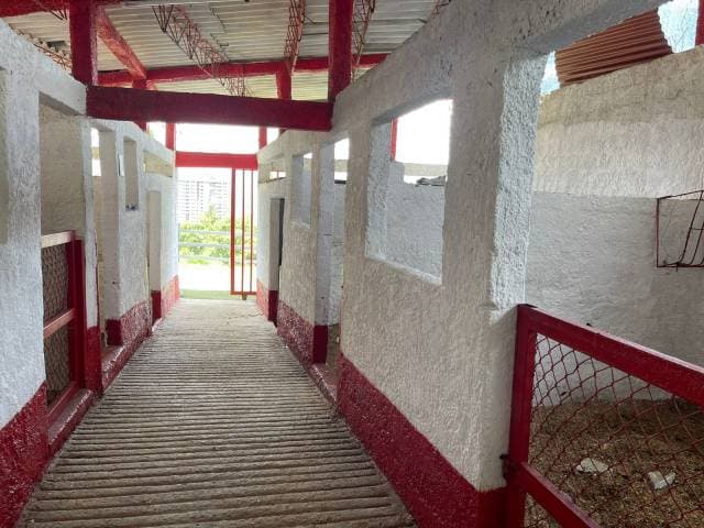 Venta de Pesebrera en Envigado, sector El Salado — foto 2